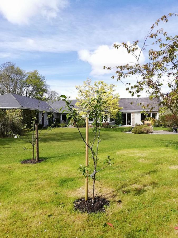 Applecroft House Bed & Breakfast Киларни Екстериор снимка